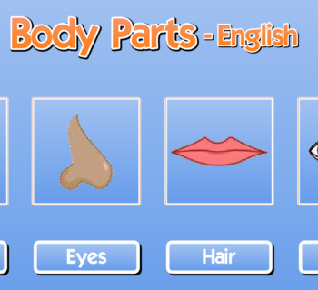 Le parti del corpo - body part. Esercizio interattivo per la scuola primaria
