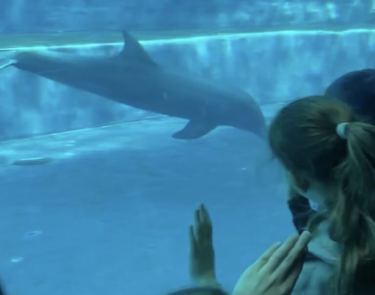 Acquario di Genova