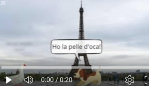 Mini story telling scuola primaria classe quarta, barzellette animate con Canva